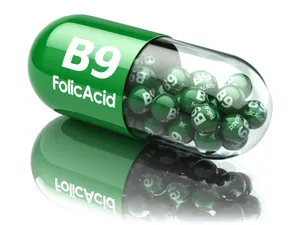 Event Launch Folic B9 (test)